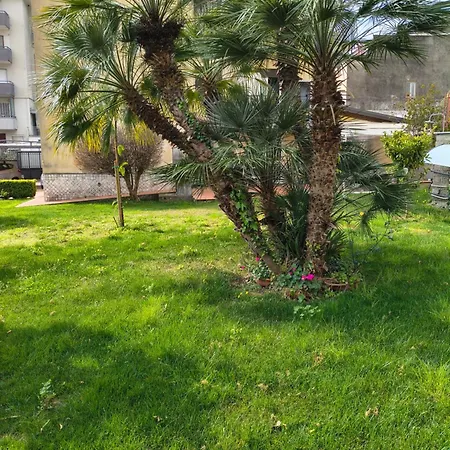 Marta Formia